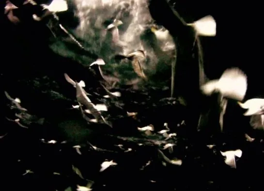 Левиафан (2012) скачать торрент файл Левиафан (2012) фильм скачать торрент файл