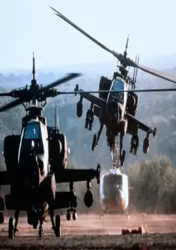 Огненные птицы (1990) в хорошем качестве скачать торрент файл Огненные птицы (1990) фильм в хорошем качестве скачать торрент файл