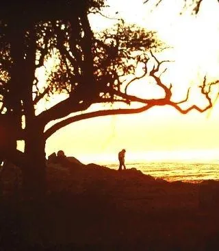 Сыграй мне перед смертью (1971) скачать торрент бесплатно Сыграй мне перед смертью (1971) фильм скачать торрент бесплатно