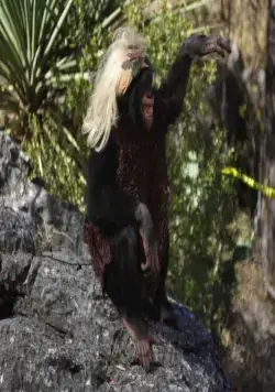 Гомо Эректус (2007) в хорошем качестве скачать торрент файл Гомо Эректус (2007) фильм в хорошем качестве скачать торрент файл