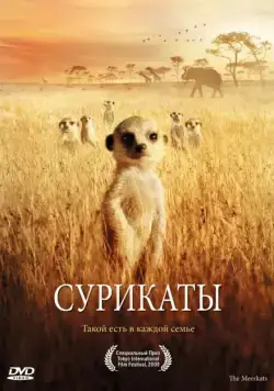 Сурикаты / The Meerkats (2007) фильм скачать через торрет бесплатно в хорошем качестве