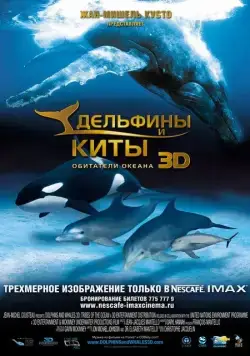Дельфины и киты 3D / Dolphins and Whales 3D: Tribes of the Ocean (2008) фильм скачать через торрет бесплатно в хорошем качестве