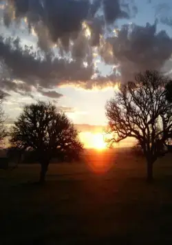 Безмолвный свет (2007) скачать торрент файл Безмолвный свет (2007) фильм скачать торрент файл