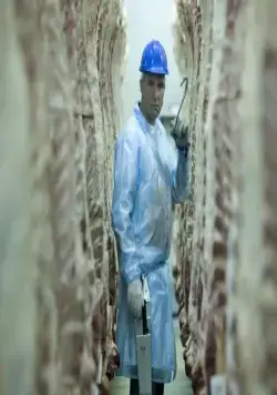 Полуночный экспресс (2008) скачать торрент бесплатно Полуночный экспресс (2008) фильм скачать торрент бесплатно