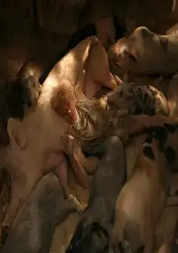 Миллион лет до нашей эры 2 (2007) скачать торрент файл Миллион лет до нашей эры 2 (2007) фильм скачать торрент файл