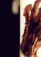 Коллекционер (2001) в хорошем качестве скачать торрент файл Коллекционер (2001) фильм в хорошем качестве скачать торрент файл