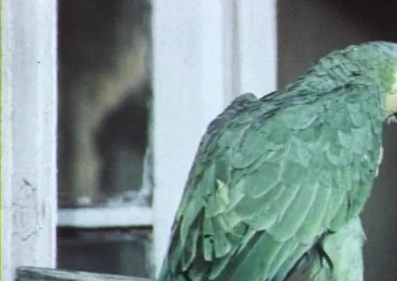 Наградить (посмертно) (1986) в хорошем качестве скачать торрент файл Наградить (посмертно) (1986) фильм в хорошем качестве скачать торрент файл