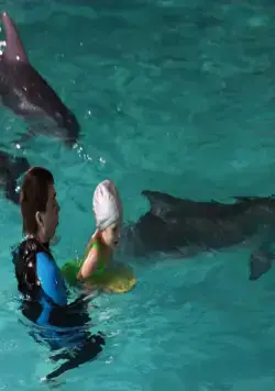 По следу Феникса (2009) скачать торрент файл По следу Феникса (2009) фильм скачать торрент файл