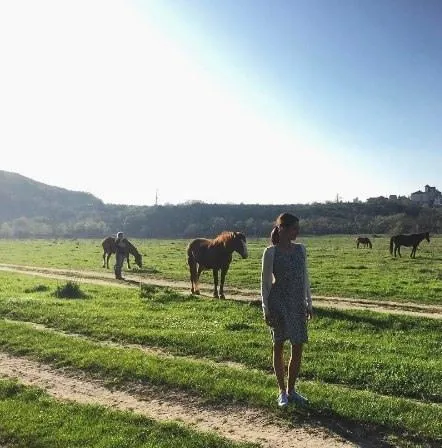 Злая шутка (2016) скачать торрент бесплатно Злая шутка (2016) фильм скачать торрент бесплатно