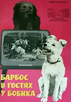 Барбос в гостях у Бобика (1964) фильм скачать через торрет бесплатно в хорошем качестве
