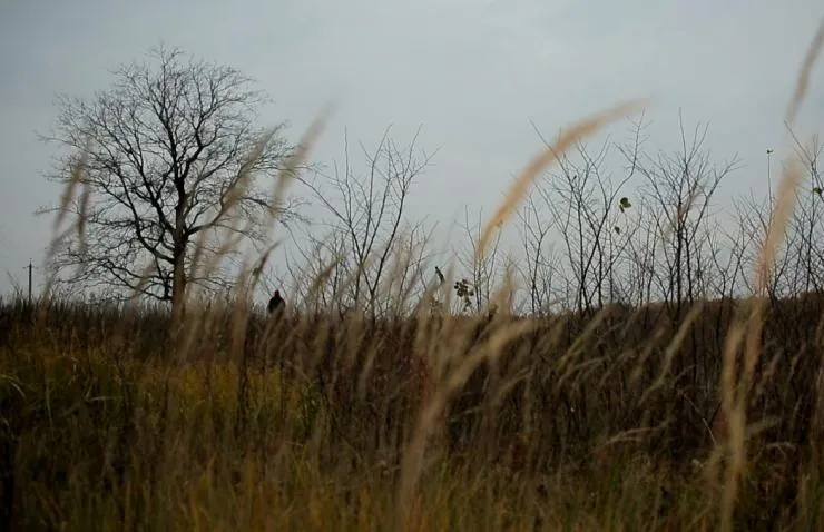 Хорло (2015) скачать торрент файл Хорло (2015) фильм скачать торрент файл