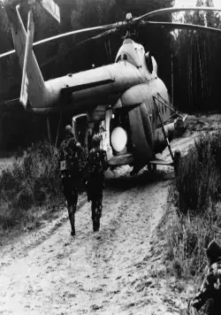 В зоне особого внимания (1977) в хорошем качестве скачать торрент файл В зоне особого внимания (1977) фильм в хорошем качестве скачать торрент файл