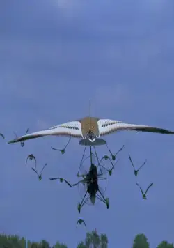 Летите домой (1996) скачать торрент файл Летите домой (1996) фильм скачать торрент файл