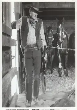 Жестяная звезда (1973) скачать торрент бесплатно Жестяная звезда (1973) фильм скачать торрент бесплатно