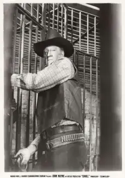 Жестяная звезда (1973) скачать торрент файл Жестяная звезда (1973) фильм скачать торрент файл