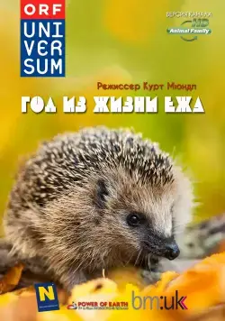 Год из жизни ежа / The Year of the Hedgehog (2009) фильм скачать через торрет бесплатно в хорошем качестве