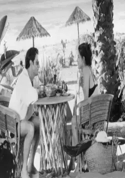 Сеть (1995) скачать торрент файл Сеть (1995) фильм скачать торрент файл