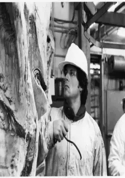 Рокки 2 (1979) скачать торрент бесплатно Рокки 2 (1979) фильм скачать торрент бесплатно