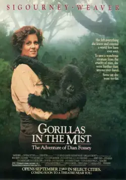 Гориллы в тумане / Gorillas in the Mist: The Story of Dian Fossey (1988) фильм скачать через торрет бесплатно в хорошем качестве
