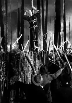 Невеста Франкенштейна (1935) скачать торрент бесплатно Невеста Франкенштейна (1935) фильм скачать торрент бесплатно