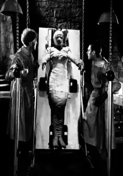 Невеста Франкенштейна (1935) в хорошем качестве скачать торрент файл Невеста Франкенштейна (1935) фильм в хорошем качестве скачать торрент файл