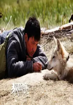 Тотем волка (2015) в хорошем качестве скачать торрент файл Тотем волка (2015) фильм в хорошем качестве скачать торрент файл