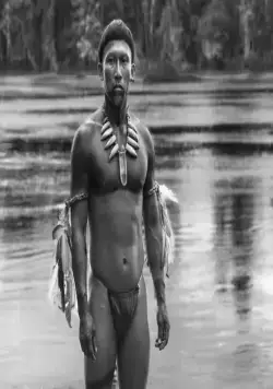 Объятия змея (2015) в хорошем качестве скачать торрент файл Объятия змея (2015) фильм в хорошем качестве скачать торрент файл