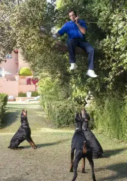 Сэнди Уэкслер (2017) скачать торрент бесплатно Сэнди Уэкслер (2017) фильм скачать торрент бесплатно