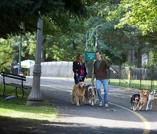 Золотая дверь (2008) скачать торрент бесплатно Золотая дверь (2008) фильм скачать торрент бесплатно