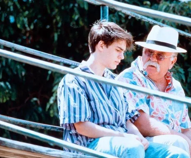 Кокон 2: Возвращение (1988) скачать торрент бесплатно Кокон 2: Возвращение (1988) фильм скачать торрент бесплатно