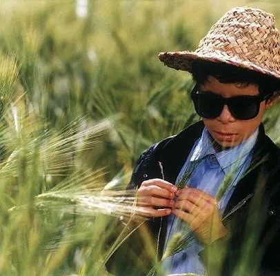 Цвет рая (1999) скачать торрент файл Цвет рая (1999) фильм скачать торрент файл