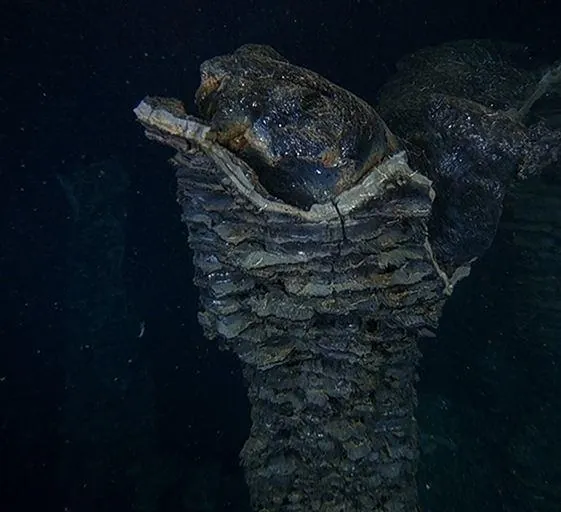 Вулканы в морских глубинах (2003) скачать торрент бесплатно Вулканы в морских глубинах (2003) фильм скачать торрент бесплатно