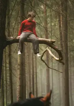 Угоняя лошадей (2019) скачать торрент бесплатно Угоняя лошадей (2019) фильм скачать торрент бесплатно