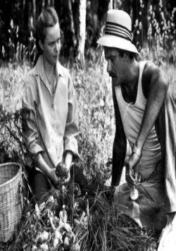 Портрет жены художника (1982) скачать торрент бесплатно Портрет жены художника (1982) фильм скачать торрент бесплатно