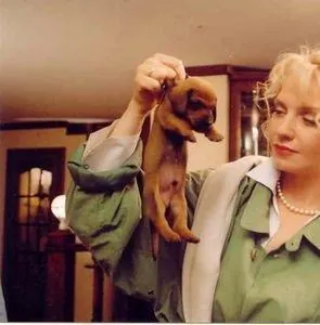 Четыре таксиста и собака (2004) в хорошем качестве скачать торрент файл Четыре таксиста и собака (2004) фильм в хорошем качестве скачать торрент файл