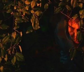 Ночь ведьм (2007) скачать торрент бесплатно Ночь ведьм (2007) фильм скачать торрент бесплатно