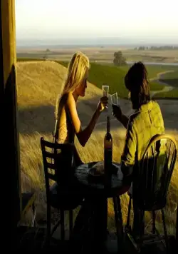 Шоковый эффект (2008) скачать торрент бесплатно Шоковый эффект (2008) фильм скачать торрент бесплатно