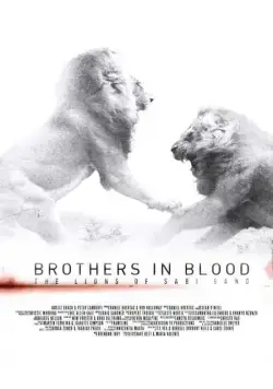 Прирожденные короли / Brothers in Blood: The Lions of Sabi Sand (2015) фильм скачать через торрет бесплатно в хорошем качестве