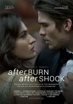Страсть и покорение / Afterburn/Aftershock (2017) фильм скачать через торрет бесплатно в хорошем качестве