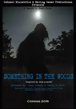 Нечто из леса / Something in the Woods (2016) фильм скачать через торрет бесплатно в хорошем качестве