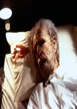 Дело о пеликанах (1993) скачать торрент файл Дело о пеликанах (1993) фильм скачать торрент файл