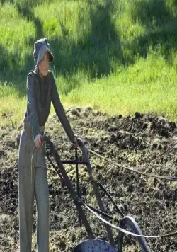 Завет любви (2004) скачать торрент файл Завет любви (2004) фильм скачать торрент файл