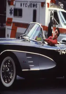 Мистер Прекрасный (1993) скачать торрент файл Мистер Прекрасный (1993) фильм скачать торрент файл