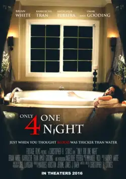 Только на одну ночь / Only for One Night (2016) фильм скачать через торрет бесплатно в хорошем качестве