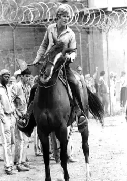 Брубейкер (1980) скачать торрент файл Брубейкер (1980) фильм скачать торрент файл