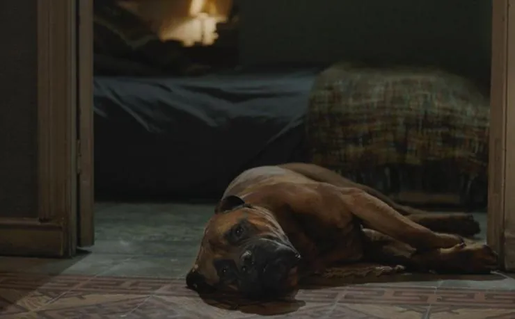 Трумэн (2015) скачать торрент файл Трумэн (2015) фильм скачать торрент файл