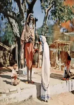 Река (1951) скачать торрент файл Река (1951) фильм скачать торрент файл