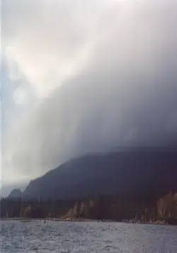 Кукушка (2002) в хорошем качестве скачать торрент файл Кукушка (2002) фильм в хорошем качестве скачать торрент файл