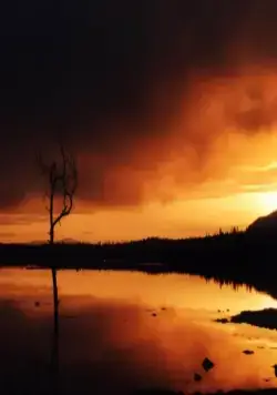 Кукушка (2002) скачать торрент бесплатно Кукушка (2002) фильм скачать торрент бесплатно