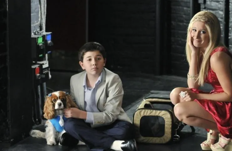 Шикарное приключение Шарпей (2011) скачать торрент бесплатно Шикарное приключение Шарпей (2011) фильм скачать торрент бесплатно